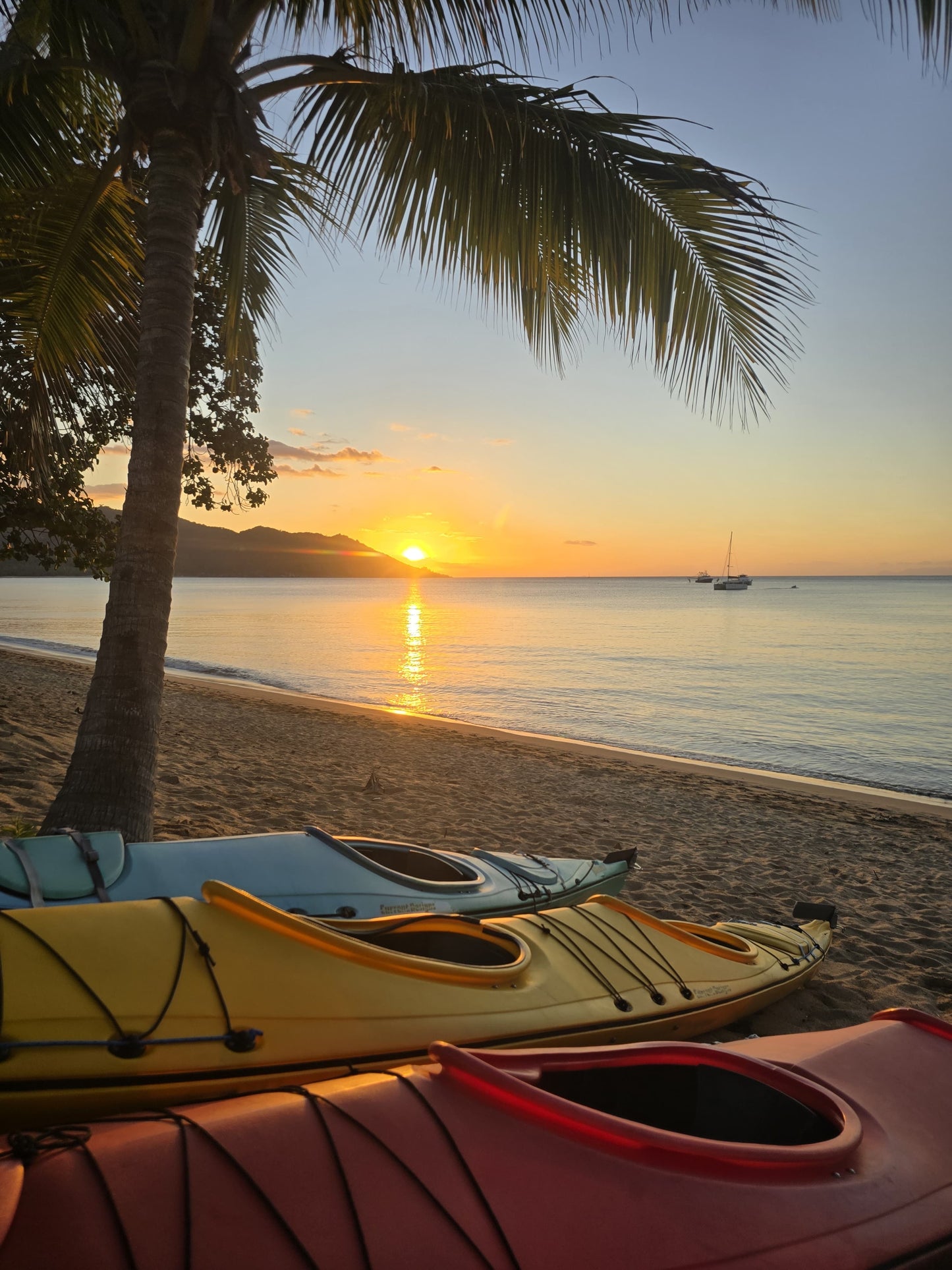 MAGNETIC ISLAND - INTRO TO DOWNWIND CAMP JULY 2026