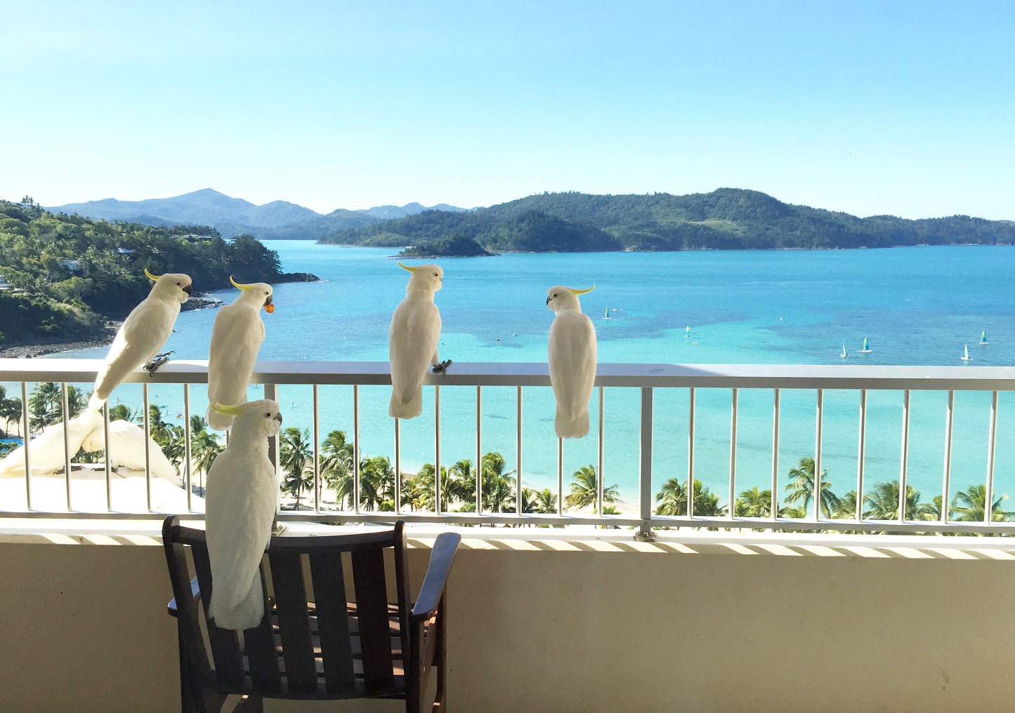 WHITSUNDAYS PADDLE TRIP L4 PADDLER JUNE 2026