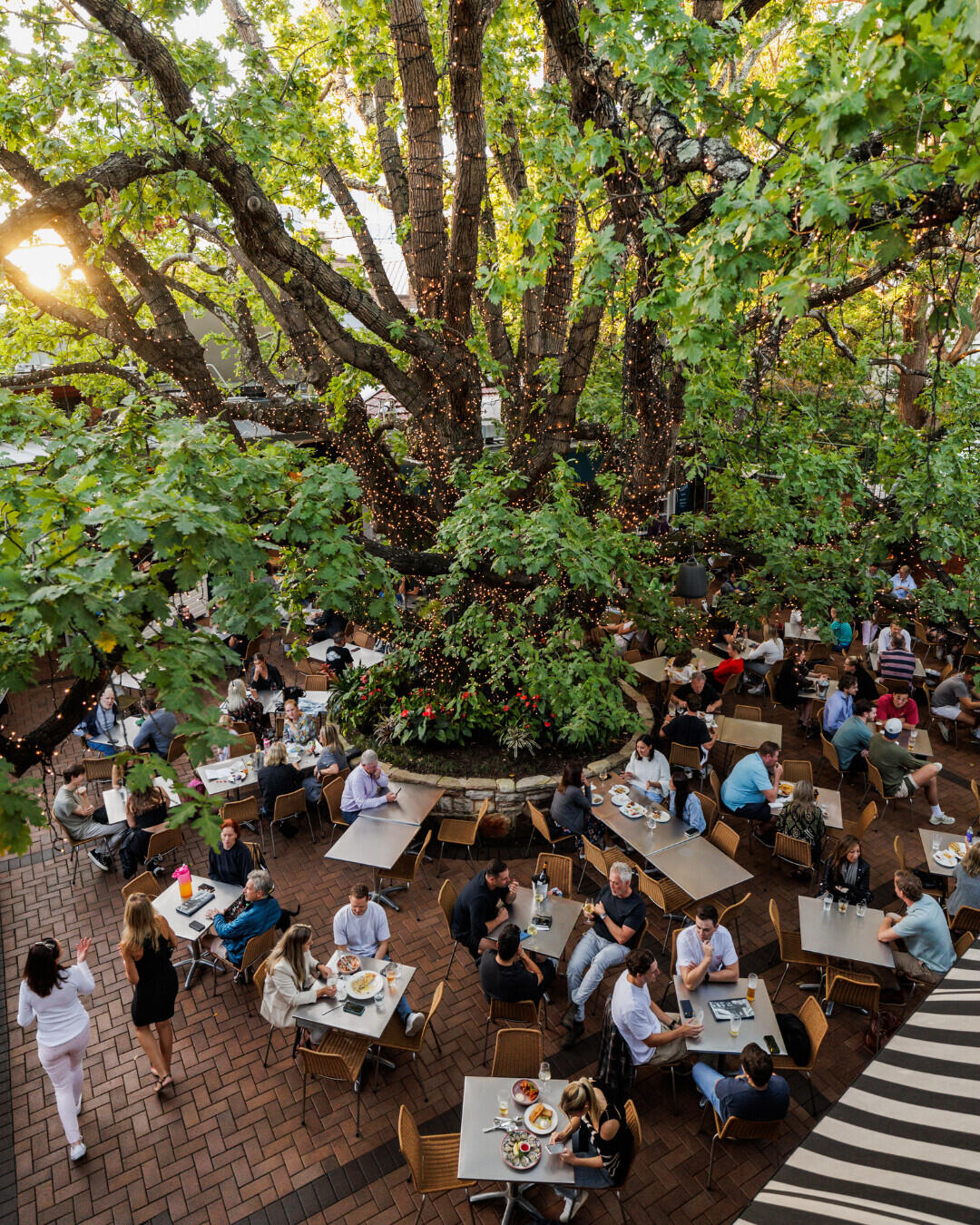 SHSC Sundown Social - Friday 24th April 2026 - Neutral Bay