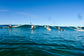 SOUTH AFRICA PADDLE TRIP OCEAN PADDLER L3/4 NOVEMBER 2027