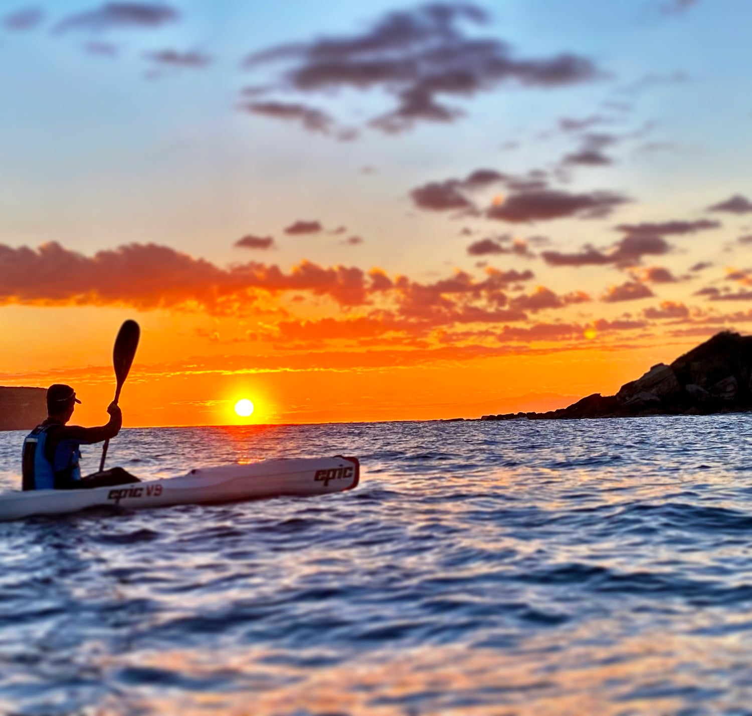 Surf ski paddling on Sydney Harbour — coached sessions at Mosman and Rose Bay